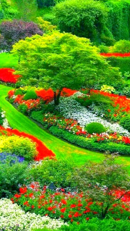 Beautiful Nature image