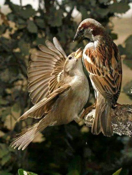 Beautiful Nature image