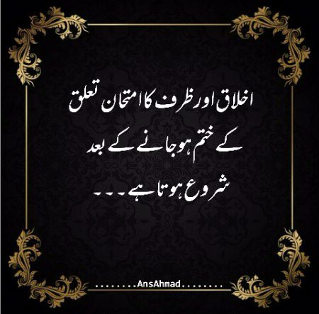 Absolutely💝