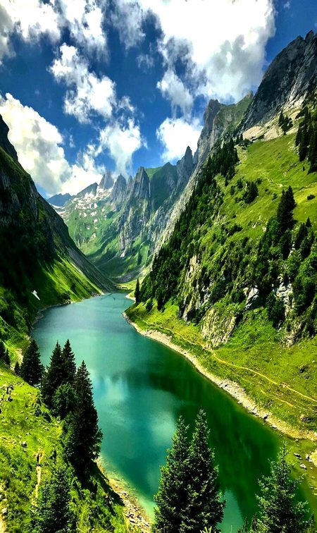 Beautiful Nature image