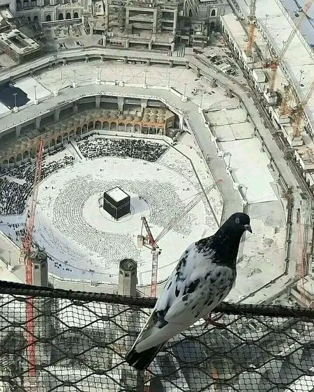 Beautiful Structures image