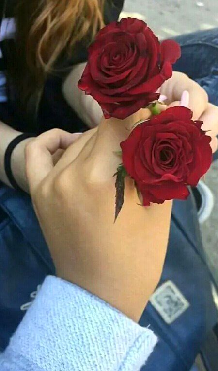 Beautiful Nature image