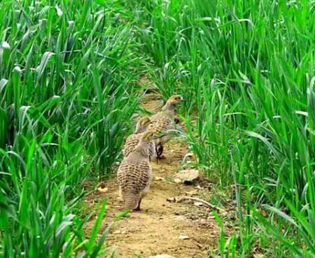 Beautiful Nature image