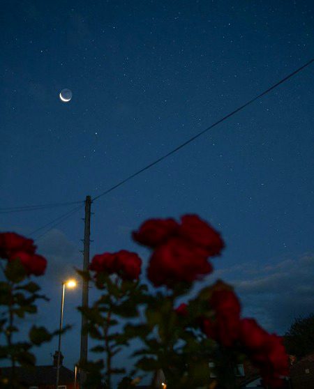 *عجیب لوگ ہیں اس دنیا کے __❤🩹🥹*
*جتنی محبت دو اتنا ہی گرا ہوا سمجھتے ہیں*💔🥲