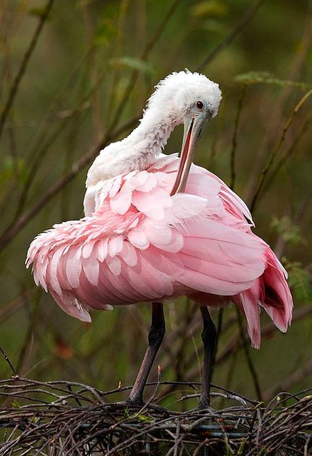 Beautiful Nature image