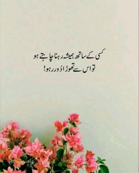 💞🦋💕...