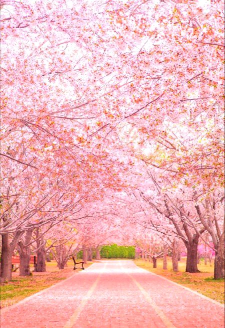 Beautiful Nature image