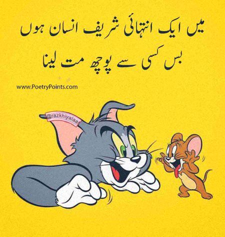 Sachi na puchna
