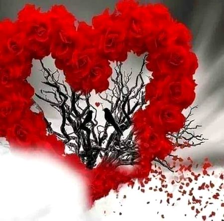 جانے کس دن تجھ کو ہم..!
 پاس بٹھا کر دیکھیں گے؟