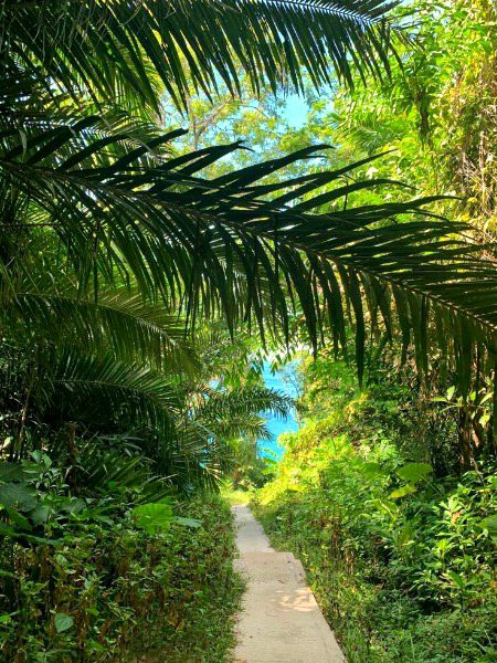 Beautiful Nature image