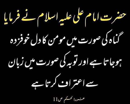 Islamic Quotes image