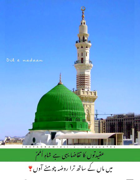 Beautiful Structures image