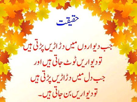 True lines