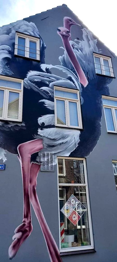 Street Art image