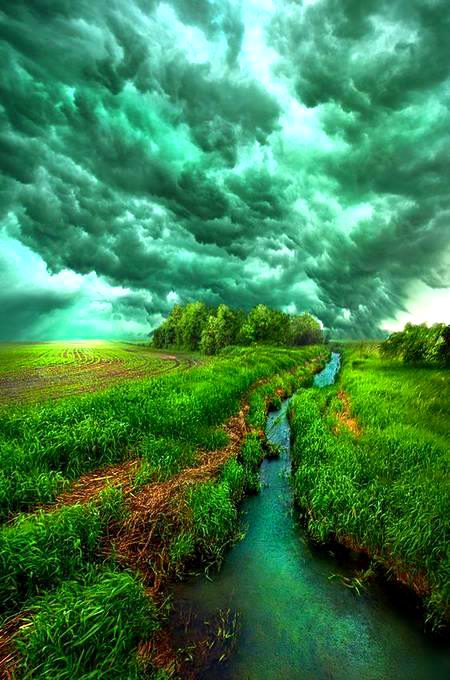 Beautiful Nature image