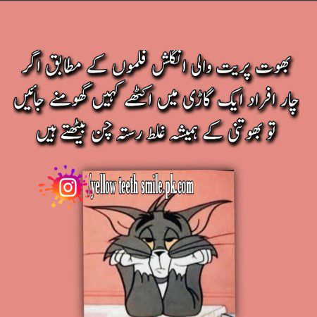 Memes & Satire image