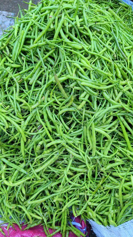 Beautiful Nature image