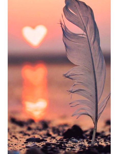 Beautiful Nature image