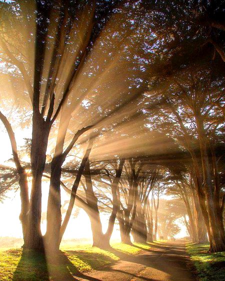Beautiful Nature image