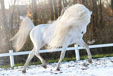 Beautiful Nature image