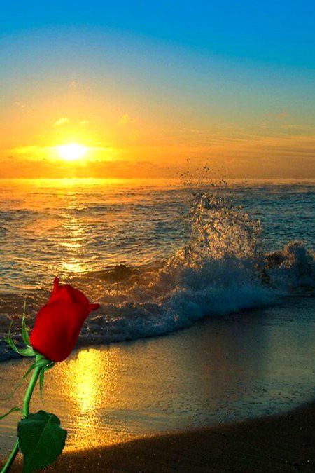 Beautiful Nature image