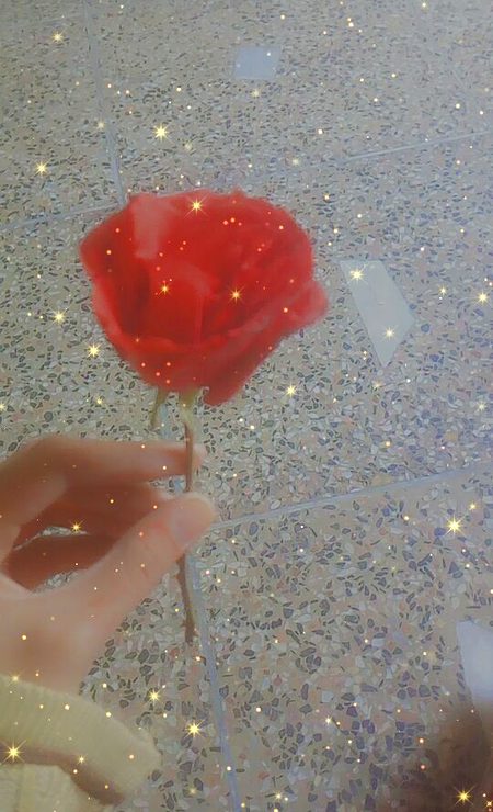 Beautiful Nature image