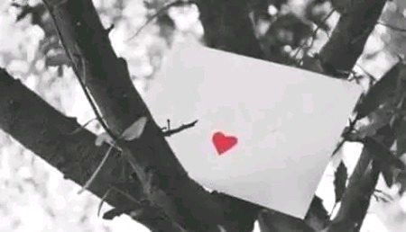 میں بھیجتا رہتا ہوں اسے خالی لفافے
وہ شخص کہیں میرا پتہ بھول نہ جائے