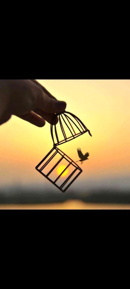 منزلوں کی کیا خبر، جنھیں راستوں سے عشق ہو..♡︎
