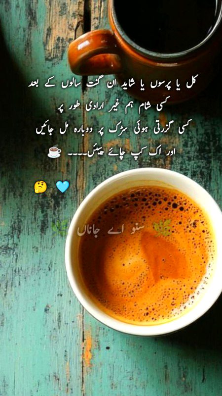 سائنسی تحقیق کے مطابق اس دنیا میں تقریباً ایک سو پچاس نشے کی اقسام ہیں اور وہ سارے نشے اکھٹے کرکے بھی چاۓ کا مقابلہ نہیں کرسکتے ۔۔۔❤️☕
