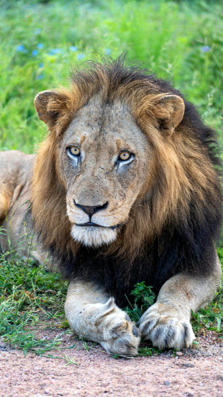 Beautiful Nature image