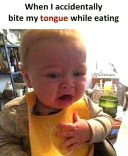 Memes & Satire image