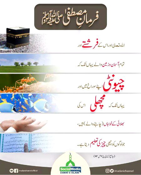 Islamic Quotes image