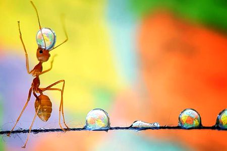 Beautiful Nature image