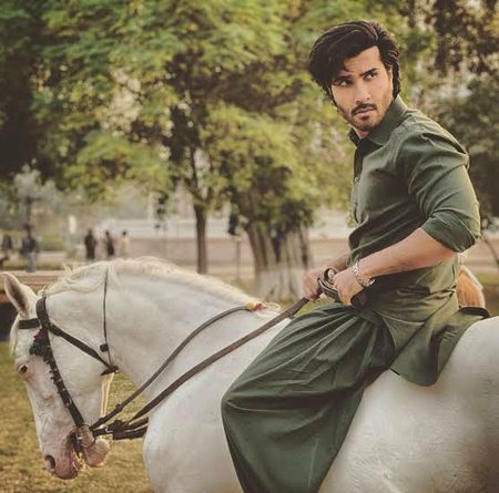Pakistani Celebs image
