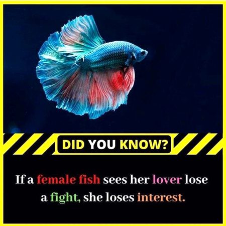 Interesting Posts image