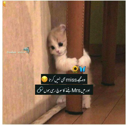 *دعاؤں میں میرے کوئی کمی تو نہیں تھی یا رب 🥹*
*کیا مجھ سے بڑھ کر بھی کسی نے مانگا تھا اسے 😢*