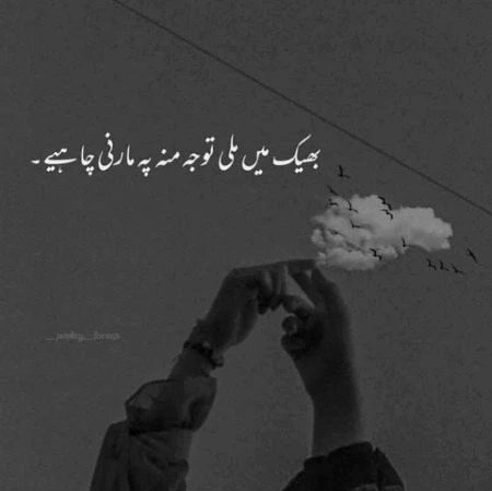 Attitude Poetry image