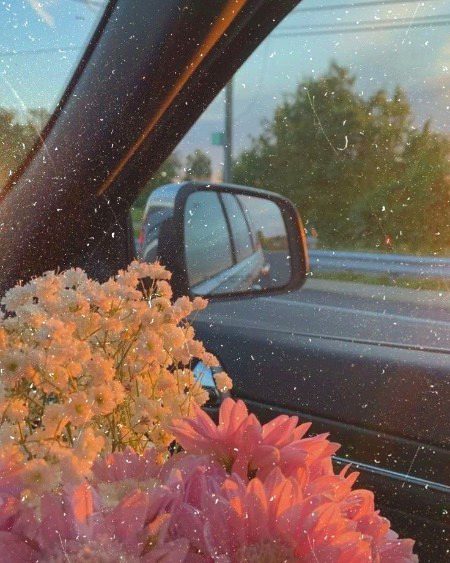 Beautiful Nature image