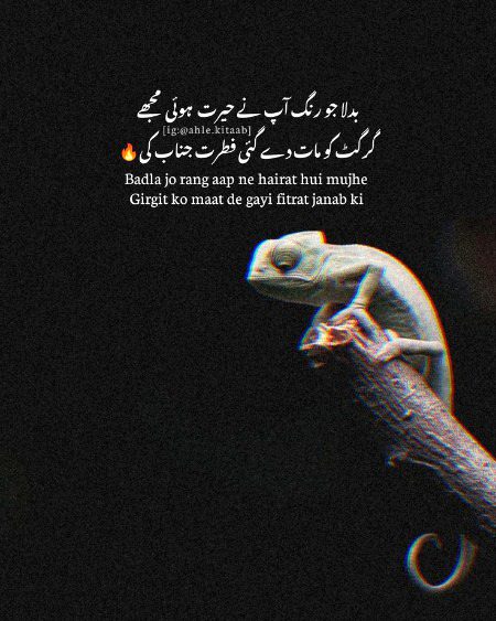 Attitude Poetry image