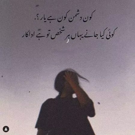 SB AISY HE HAI
