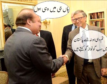 Memes & Satire image