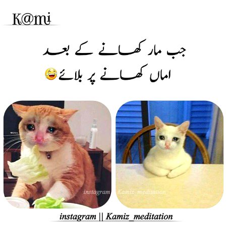 Memes & Satire image