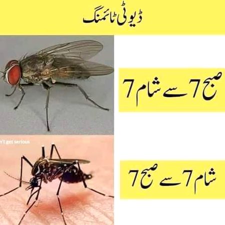 Tobha  tobha 🙄