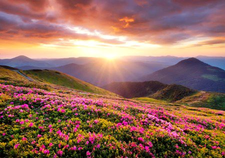 Beautiful Nature image