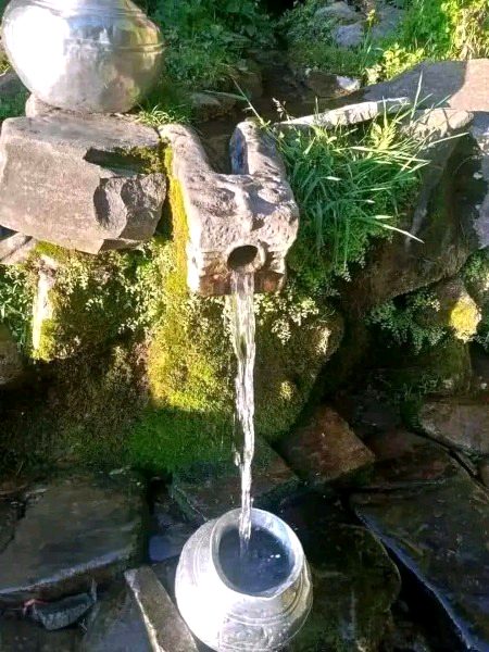 Beautiful Nature image