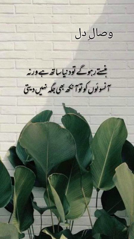 Romantic Novels image