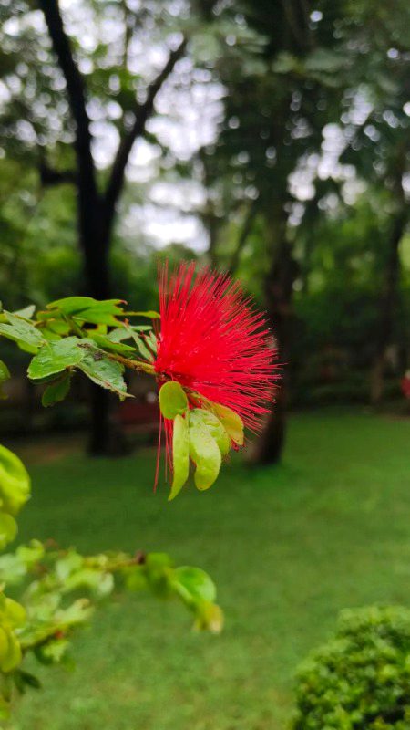 Beautiful Nature image