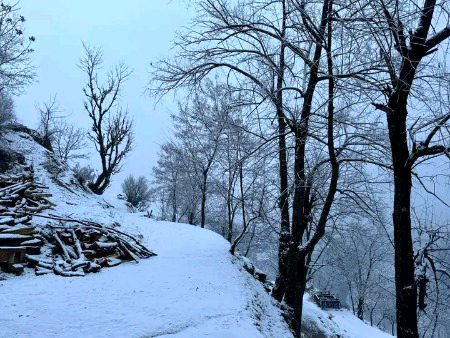 Beautiful Nature image