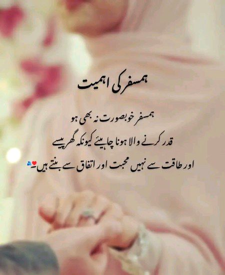 ہمسفر کی اہمیت