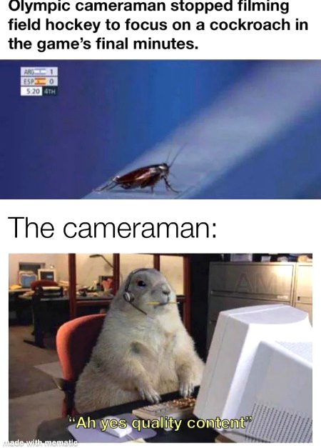 Memes & Satire image